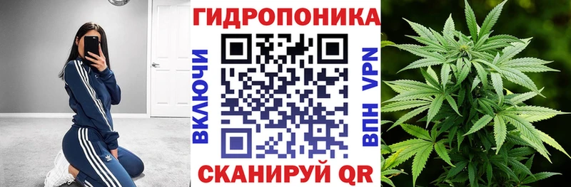 Купить закладку A PVP КОКАИН МЕФ Каннабис Ливны